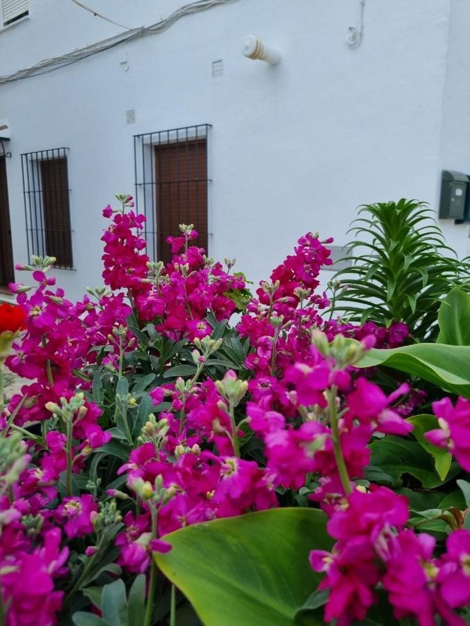 Casa Francisca En El Casco Antiguo Villa Vejer de la Frontera Exterior photo